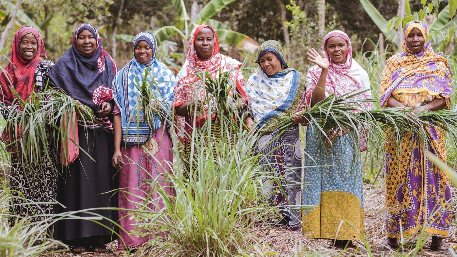 Female Lemongrass (Mchaichai) Farmers from Zanzibar